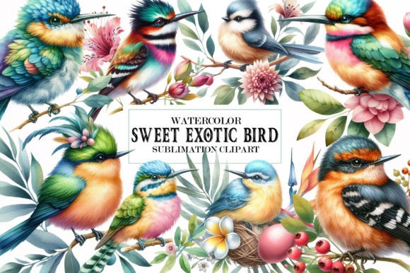 Download Sweet Exotic Bird Watercolor 19 Cliparts - Exotic bird Collection