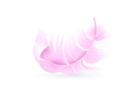 Download Pink Feather. Exotic Bird, Flamingo or P - Premium Resources
