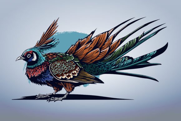 Download Exotic Bird Colorful Beautiful Vector - Premium Resources