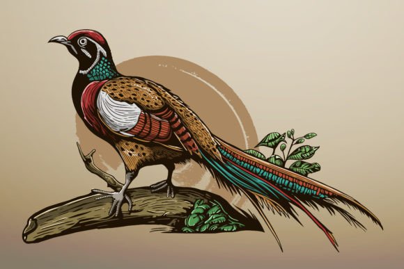 Download Hand Drawn Exotic Bird on Tree Branch - Premium Bundle