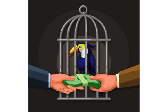 Download People Selling Toucan Exotic Bird Vector - Exotic bird Collection